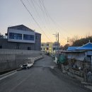 오션나비드풀빌라 이미지