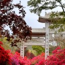 남미륵사 이미지