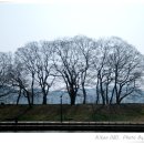 담양-04 이미지