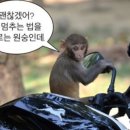더푸드스케치