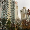 정자천로188번길 이미지