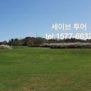 연못들2 이미지