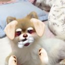 다나은메디컬 이미지