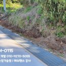 세움개발 이미지