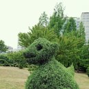 예술조형물(산골공원 | 수원 산책 코스 추천 효원공원 인계예술공원 강아지와 산책