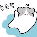 SUDA(수다) - 고흥군 | SUDA(수다)