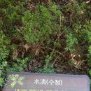 왕대민박 이미지