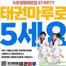 프리미엄 태권마루 태권도장 | 아이들이 꿈을 더하는 새솔동예비초태권도, 프리미엄태권마루의 특별한 매력