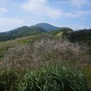 장수장안산 산행후 장수 한우사과 축제와 산청 전통의약 엑스포 관람 이미지