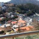 거제도핫도그 이미지