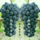 우진네