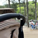 육아용품 | 휴대용유모차 부가부 버터플라이 vs 요요 | 기내반입가능 수화물 | 수원 베이비하우스영통...