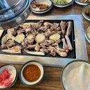 두둥실 청둥오리 이미지