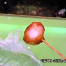 소문난매운떡볶이