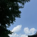 육림풀장 | [춘천]취사가능한 수영장 ‘육림수영장’