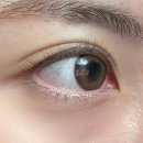 안경나라사창점 위드렌즈 이미지