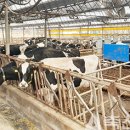 성보목장 이미지