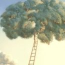 루프리텔캄 이미지