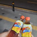 홍원도양꼬치 이미지