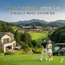 뉴힐링투어