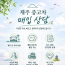 무룡로 | [제주중고차매입] 2023년식 팰리세이드 중고차 가격은 얼마나 될까? 실제 매입 사례 후기