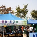 쿠어츠바인에 이미지