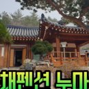 영산강홍어 이미지