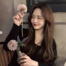 꽃다희
