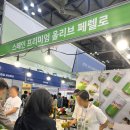 다미로띠(Dami rotti) 로고