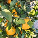 태수농장2 이미지