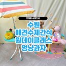 멍냥과자 이미지