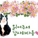 도도과자점 이미지