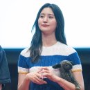 빈찬욱 카카오 검색결과