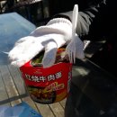 오라호스텔 이미지