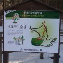 청태산 자연속으로 이미지