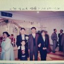 바자울 이미지