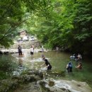 휴양림약수 이미지