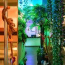 JK댄스스튜디오 이미지