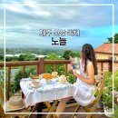 노늘 | 제주 노늘 독채 유럽풍 숙소 후기, 브런치 카페 더블유라운지 추천