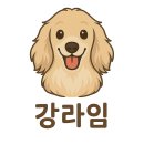 용인 흥덕지구 네일샵 솔직후기 컬러·케어 완벽했던 헨즈네일 방문기