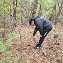 수지생태공원 이미지