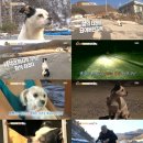 삼거리농장 이미지