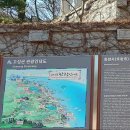 🪰 한국은 복 받은 땅 🥰 이미지