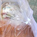 더벤티창원드림타운점 | BELT샌드위치,리코타그릴치킨볼샐러드(소),카스테라우유크림볼,2CM쌀식빵 후기 : 뚜레쥬르 창원상남광장점