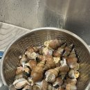 포항촌캉스 이미지