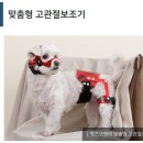 오앤피서울