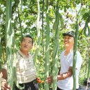 여의주농장 이미지