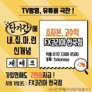FX코리아 네이버블로그