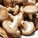 태석농장 이미지