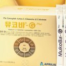 G플러스 네이버블로그